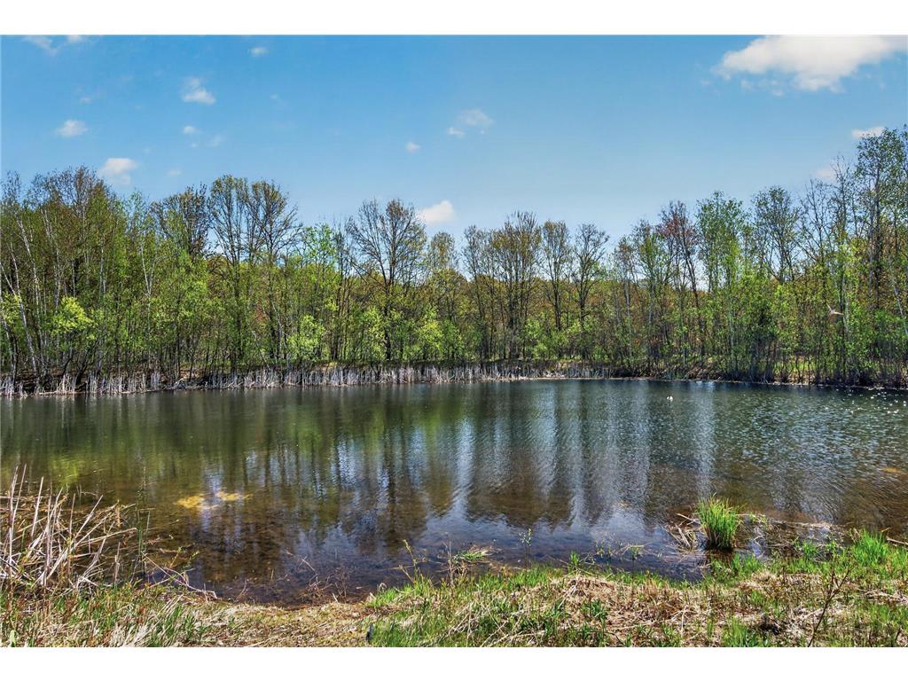 2505 223rd Lane NW Oak Grove MN 55011 7072601 image89