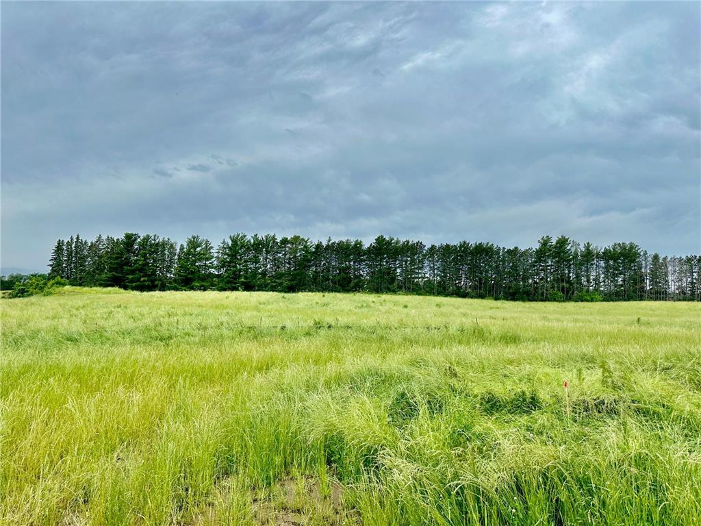 2505 Pioneer Trail Medina MN 55340 6632680 image1