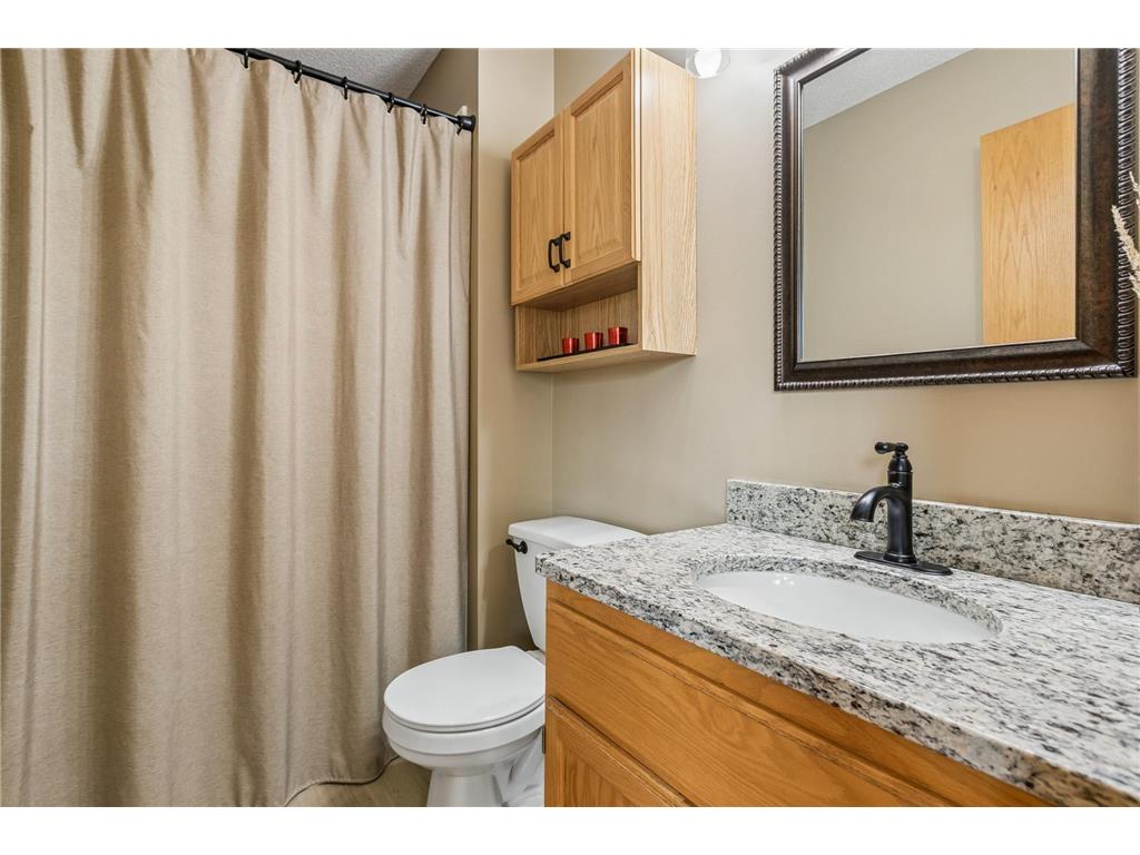 2509 Edinbrook Terrace Brooklyn Park MN 55443 7068085 image19