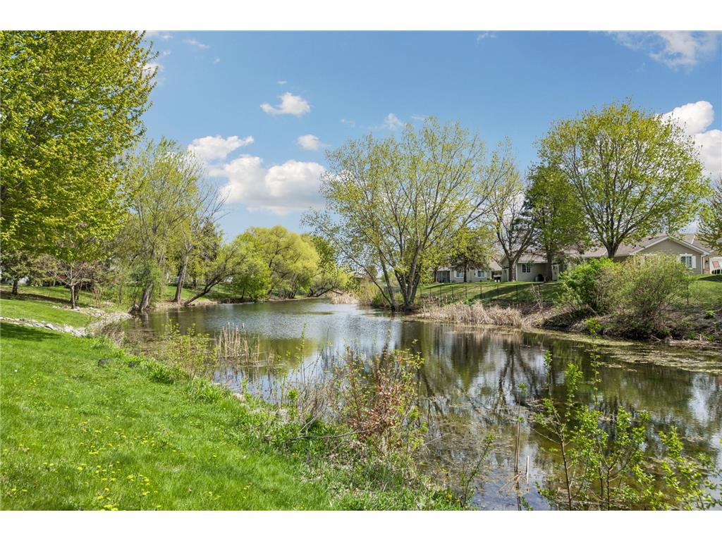 2509 Edinbrook Terrace Brooklyn Park MN 55443 7068085 image38