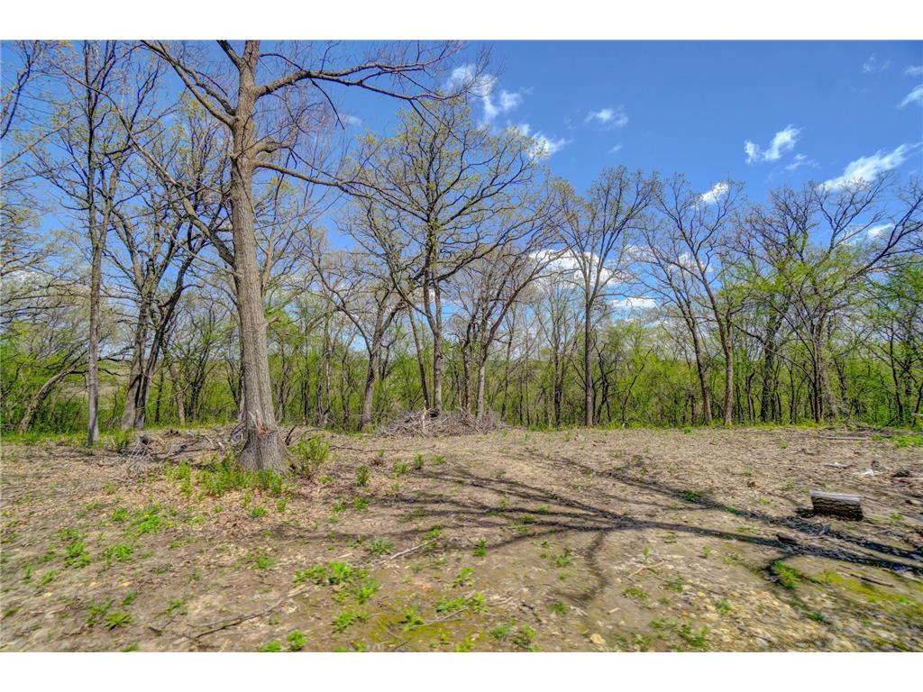 251 Saddle Ridge Lane Troy Twp WI 54022 7013919 image1