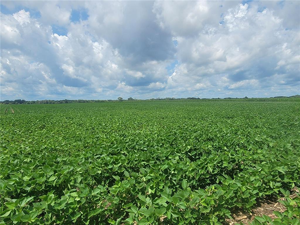 2510 XXX Street SE Austin Twp MN 55912 6402276 image1