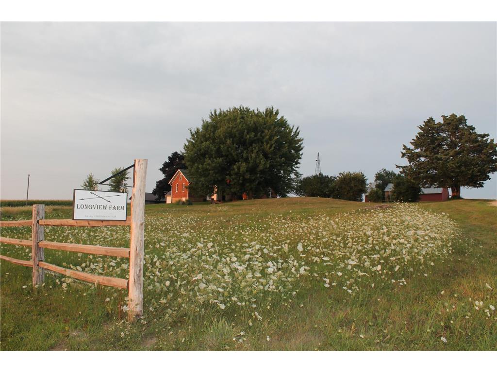 25126 Silver Maple Road Wilson Twp MN 55987 6457272 image1