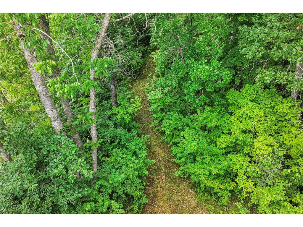 25148 State Highway 6 Wolford Twp MN 56441 - Clinker 6768100 image26