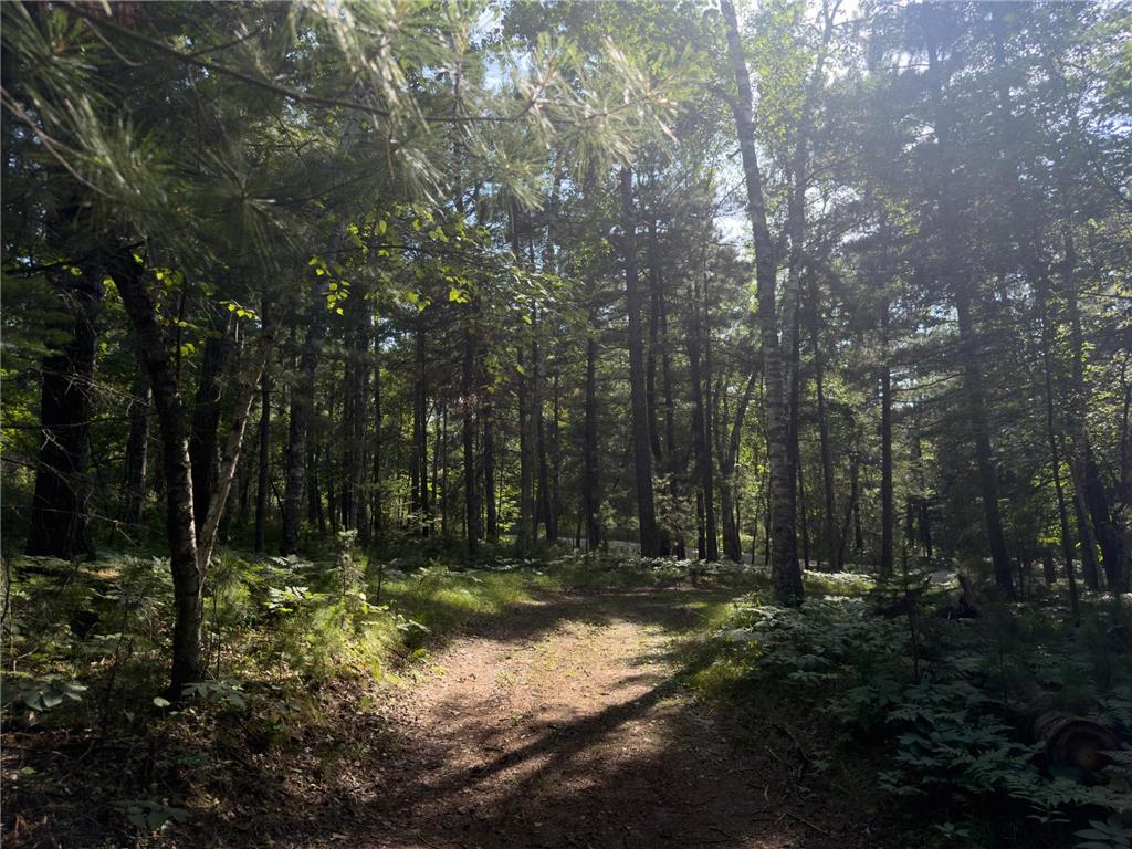 25149 Chokecherry Lane Nevis MN 56467 - Island Lake 7107699 image44
