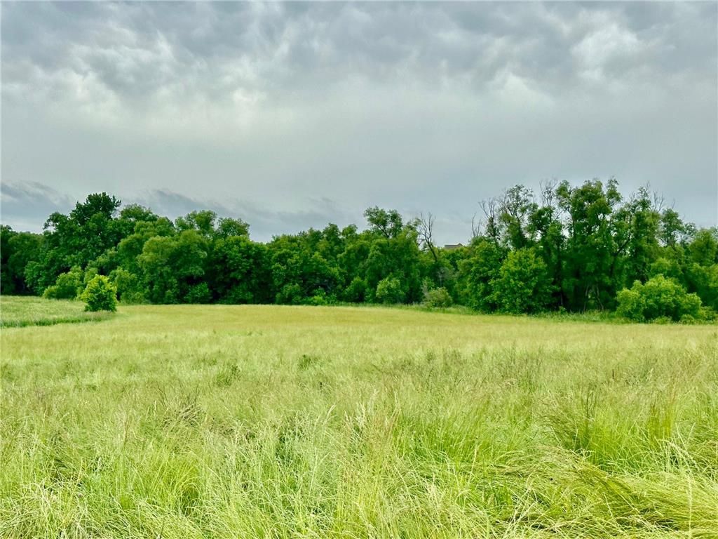 2515 Pioneer Trail Medina MN 55340 6495827 image1