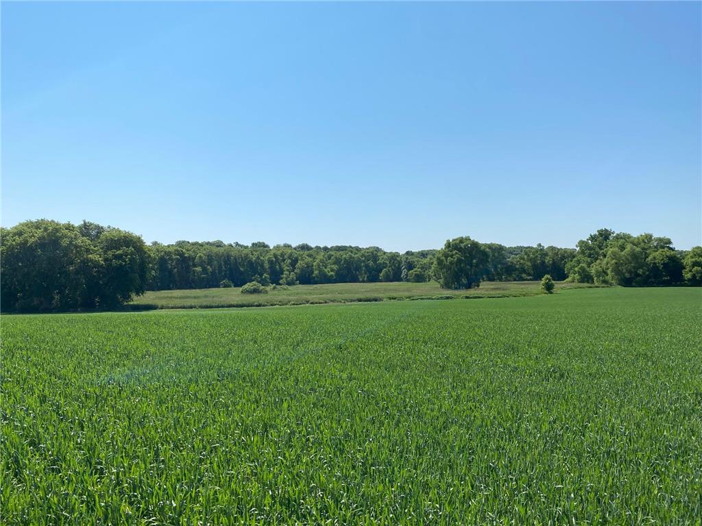 2515 Pioneer Trail Medina MN 55340 6495827 image11