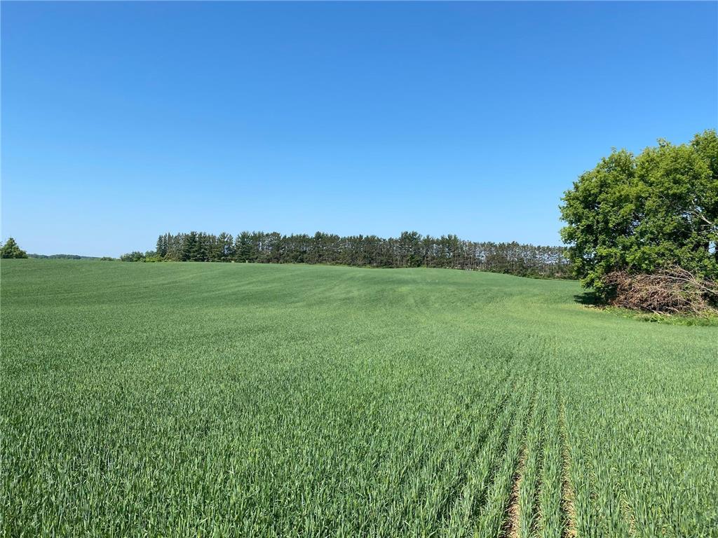 2515 Pioneer Trail Medina MN 55340 6495827 image12