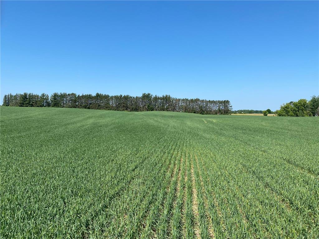 2515 Pioneer Trail Medina MN 55340 6495827 image13