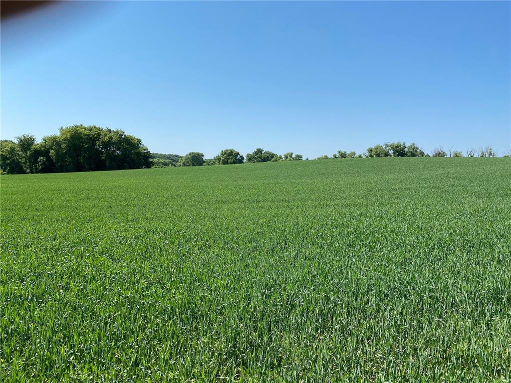 2515 Pioneer Trail Medina MN 55340 6495827 image14