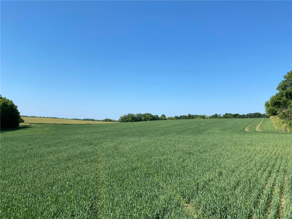 2515 Pioneer Trail Medina MN 55340 6495827 image15