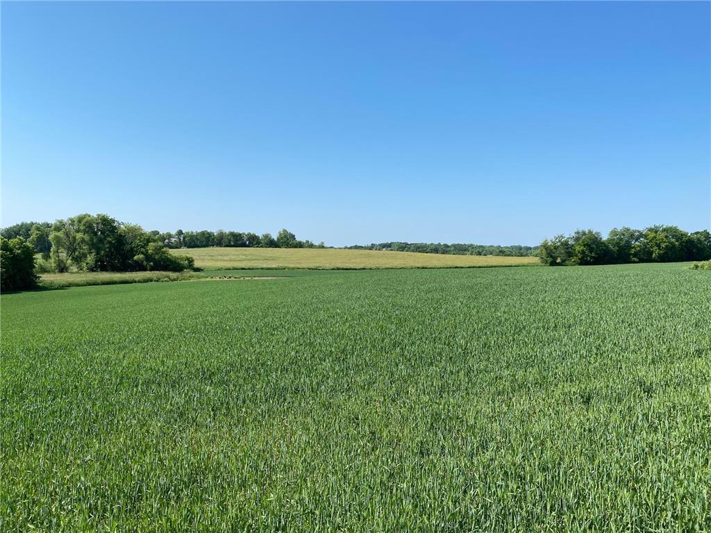 2515 Pioneer Trail Medina MN 55340 6495827 image16