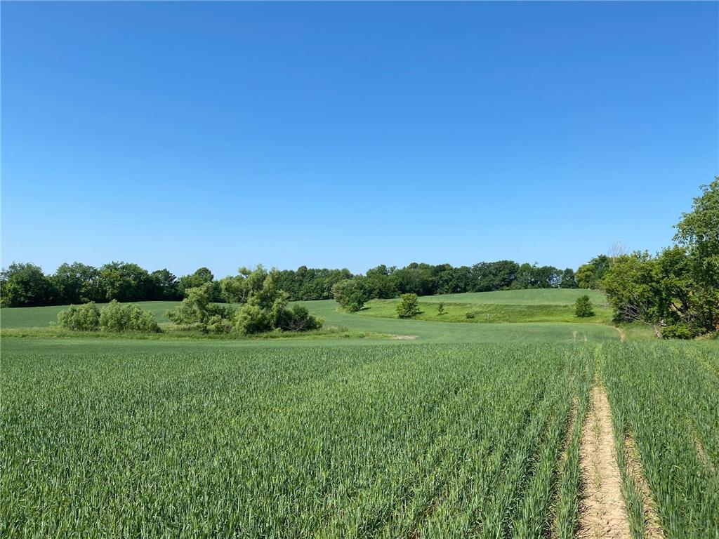 2515 Pioneer Trail Medina MN 55340 6495827 image17