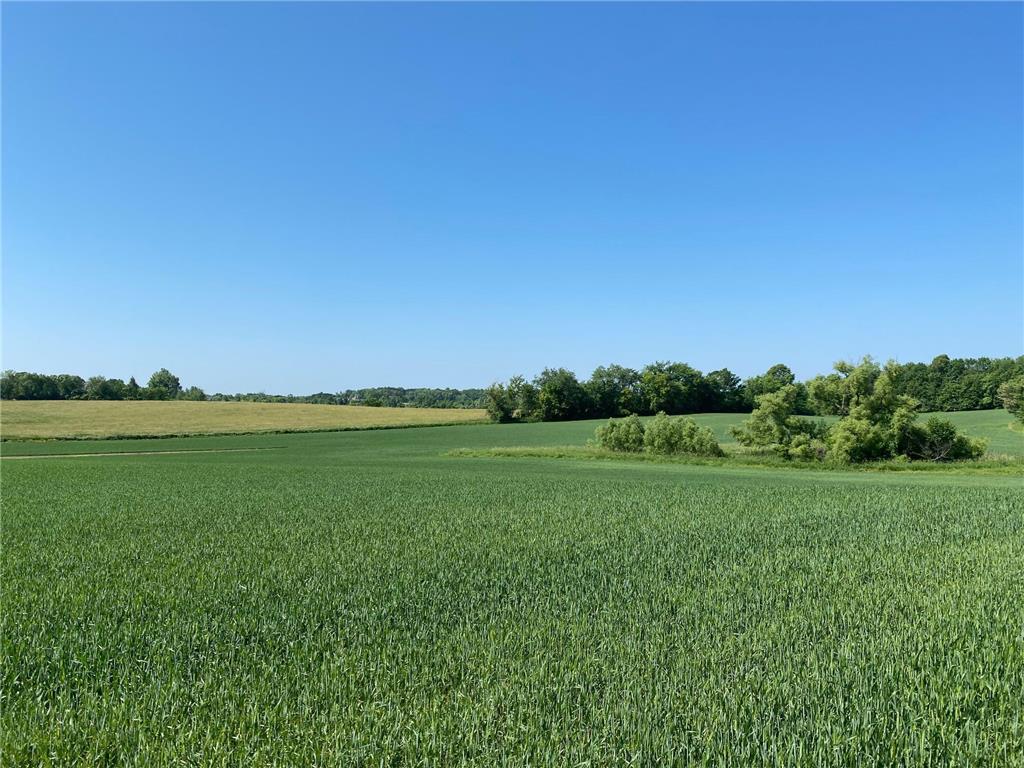 2515 Pioneer Trail Medina MN 55340 6495827 image18