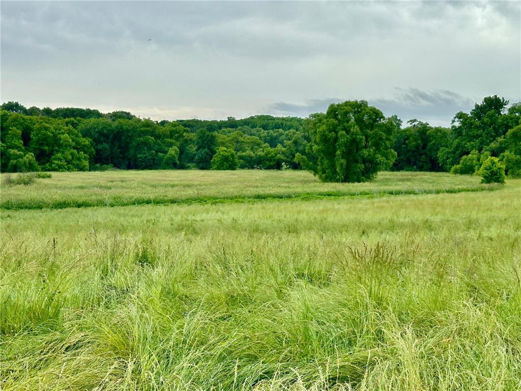 2515 Pioneer Trail Medina MN 55340 6495827 image2