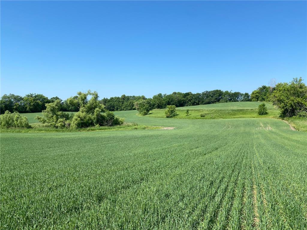 2515 Pioneer Trail Medina MN 55340 6495827 image20