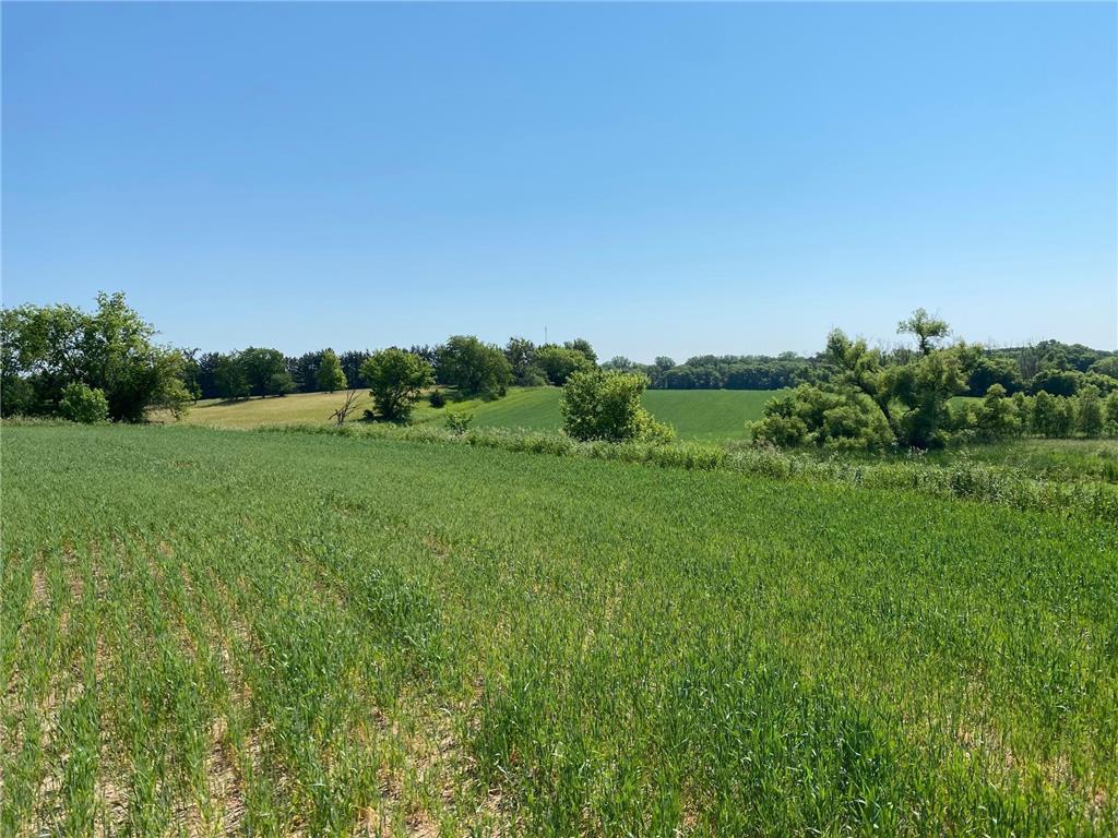 2515 Pioneer Trail Medina MN 55340 6495827 image21