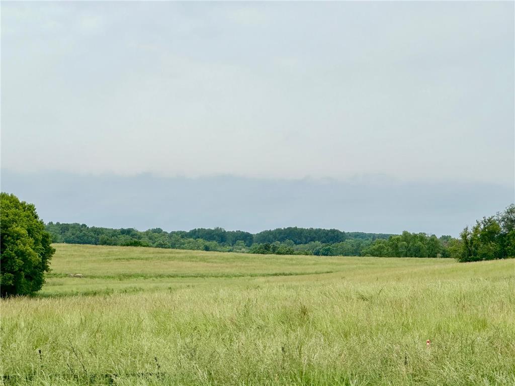 2515 Pioneer Trail Medina MN 55340 6495827 image3