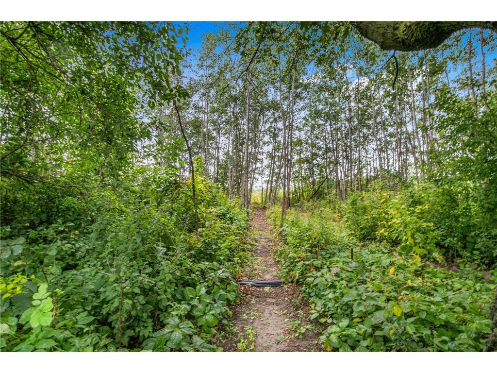 2518 Ocarina Drive Sauk Rapids MN 56379 7043278 image28
