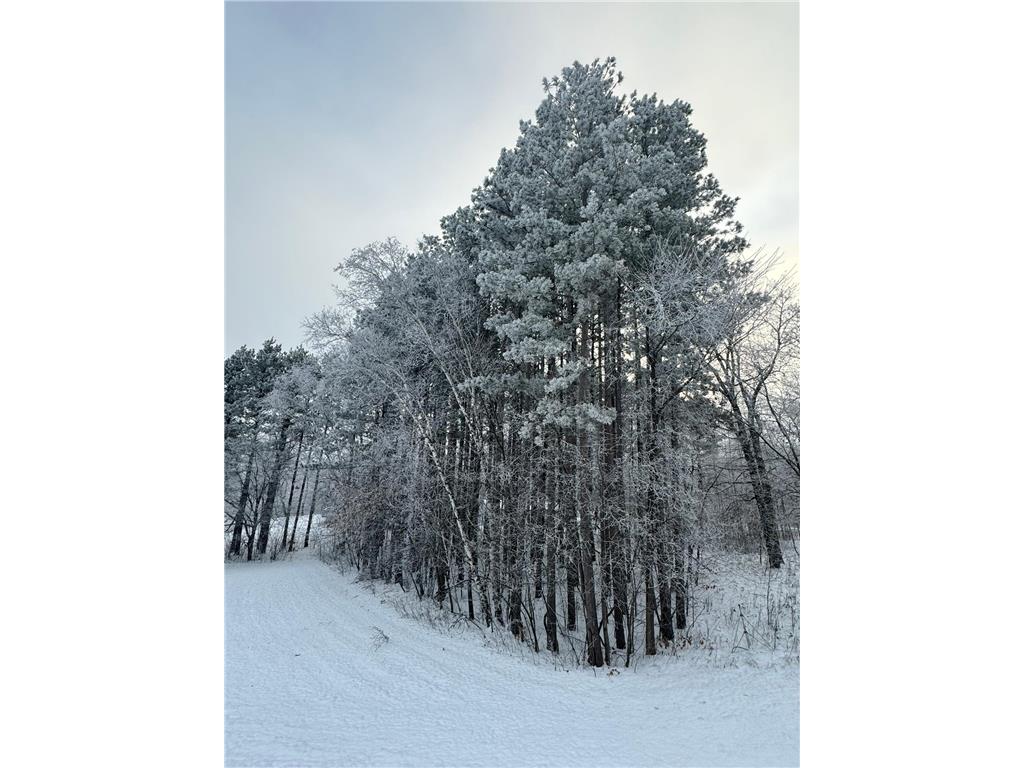 25190 E Cozy Cove Road Detroit Twp MN 56501 - Tamarack 7094662 image39