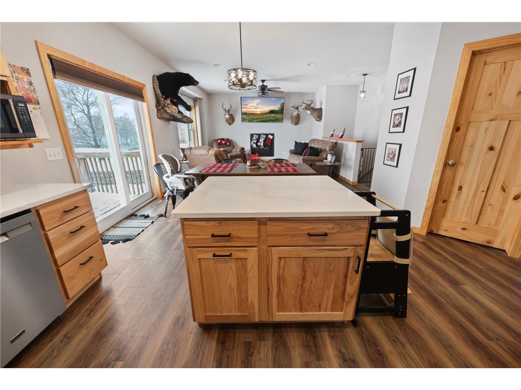 25193 335th Avenue Bruce Twp MN 56347 6822011 image20