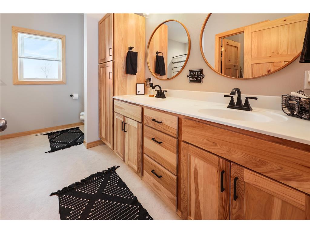 25193 335th Avenue Bruce Twp MN 56347 6822011 image22