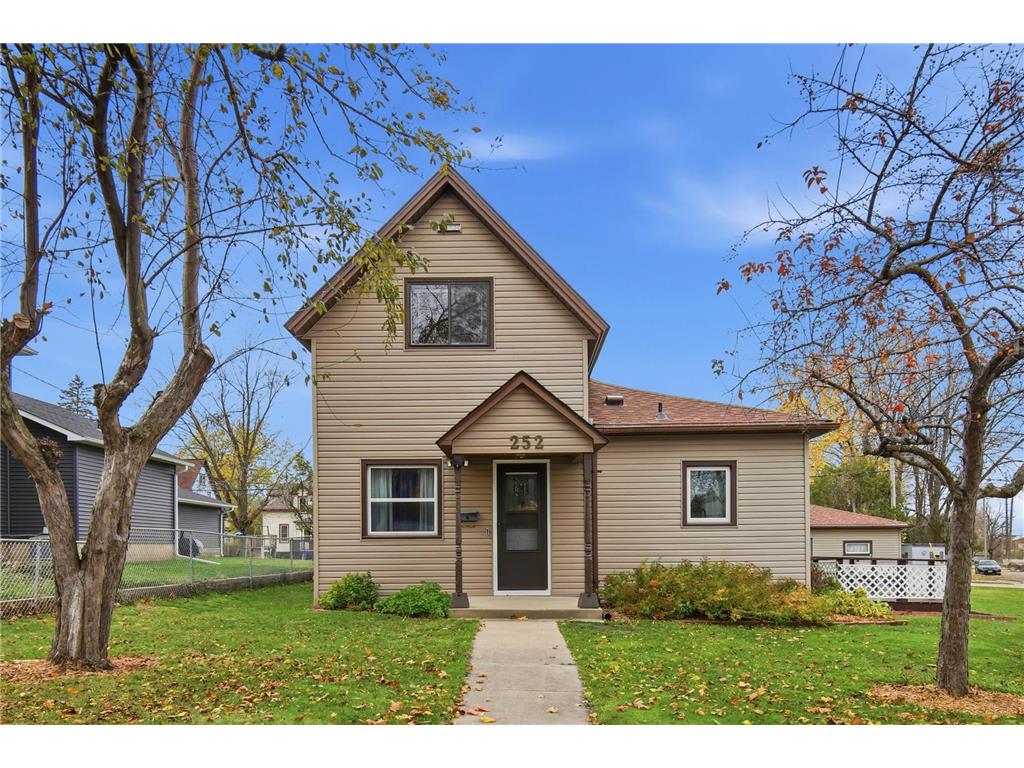 252 Chestnut Avenue Owatonna MN 55060 6813485 image1