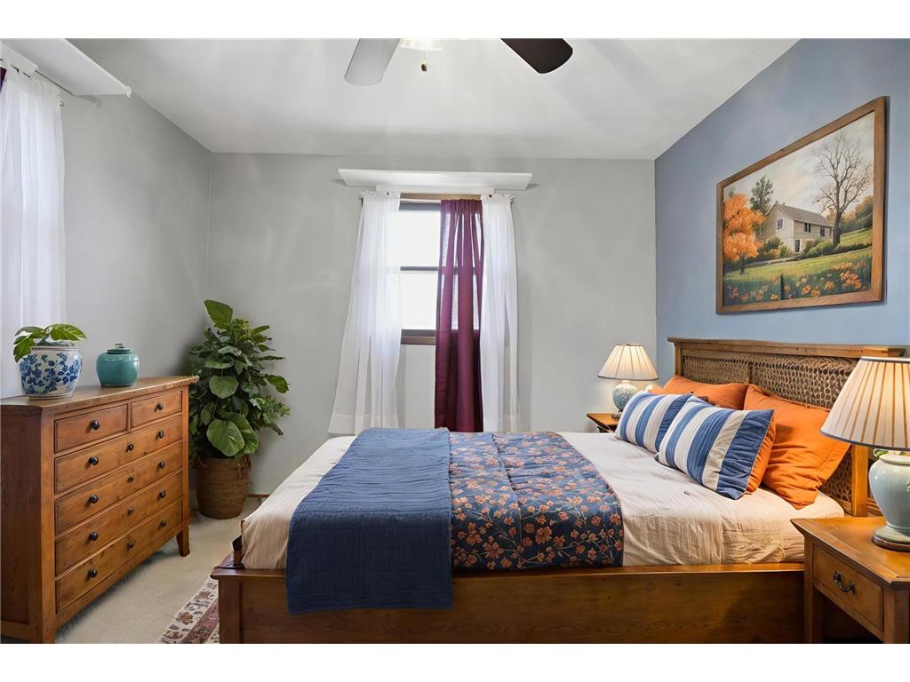 252 Chestnut Avenue Owatonna MN 55060 6813485 image17