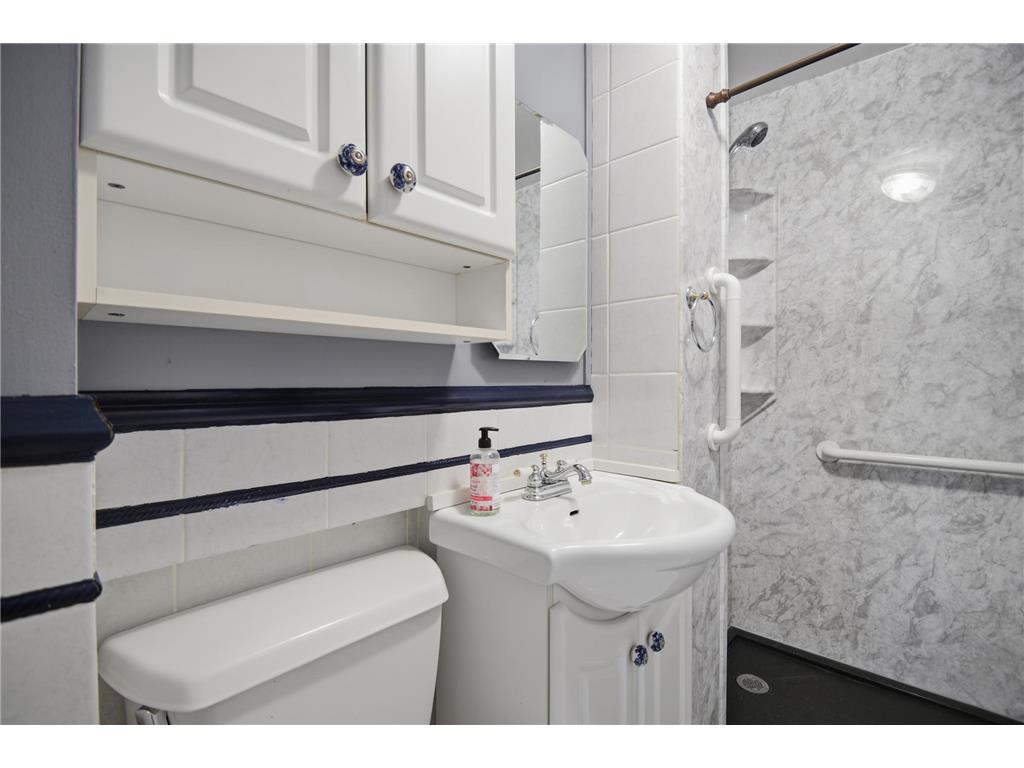 252 Chestnut Avenue Owatonna MN 55060 6813485 image20