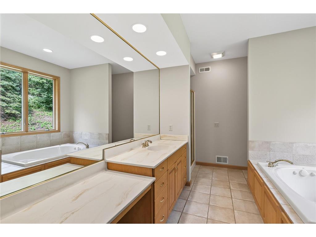2520 Arbor Court Mendota Heights MN 55120 6822410 image26