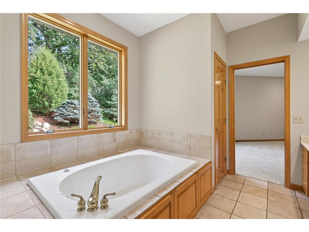 2520 Arbor Court Mendota Heights MN 55120 6822410 image28