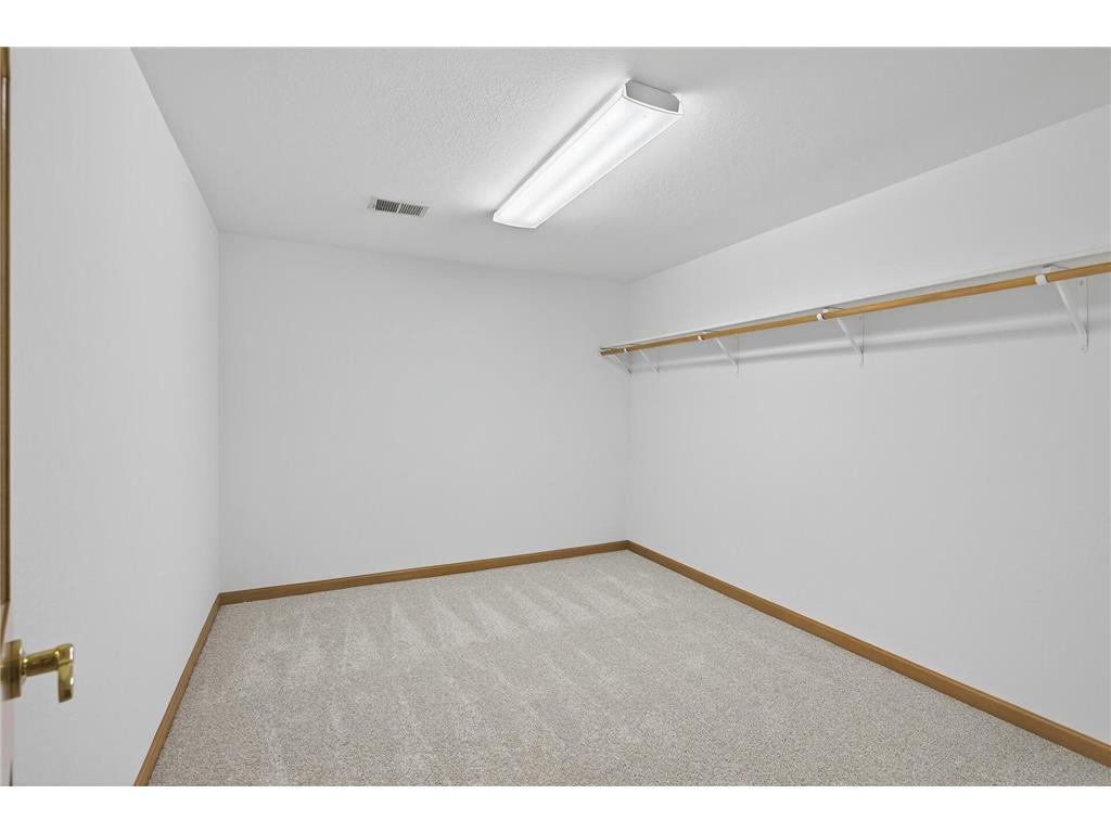 2520 Arbor Court Mendota Heights MN 55120 6822410 image34