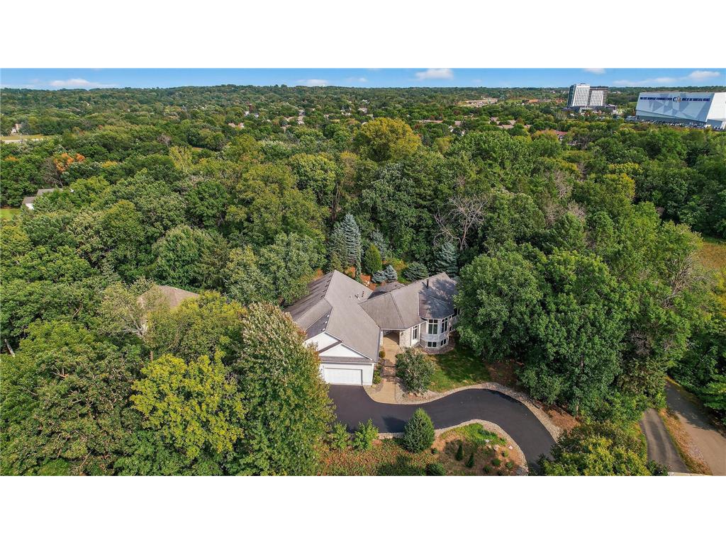 2520 Arbor Court Mendota Heights MN 55120 6822410 image49