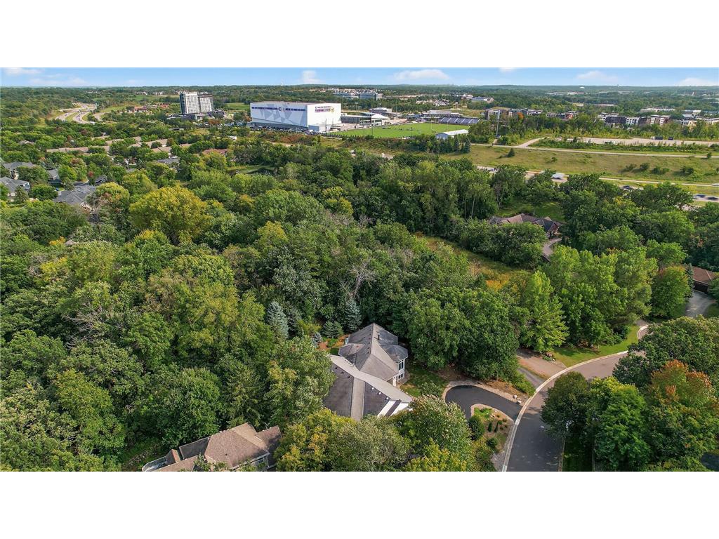 2520 Arbor Court Mendota Heights MN 55120 6822410 image50
