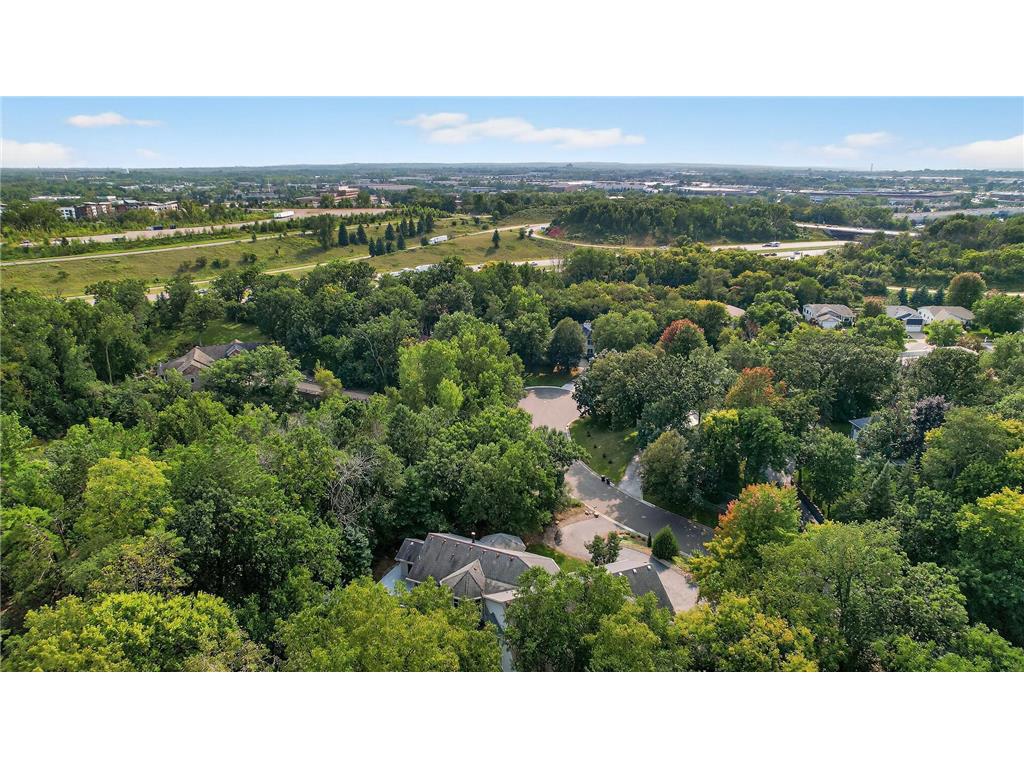 2520 Arbor Court Mendota Heights MN 55120 6822410 image51