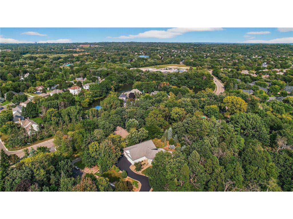 2520 Arbor Court Mendota Heights MN 55120 6822410 image54