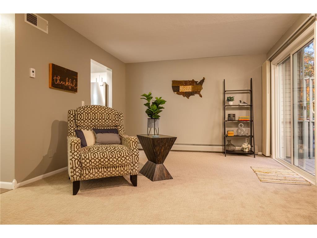 2520 Le Homme Dieu Heights NE #2 Alexandria MN 56308 - Le Homme Dieu 7020262 image48