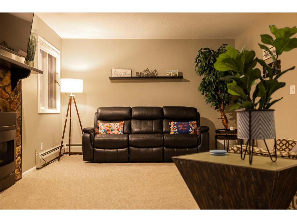 2520 Le Homme Dieu Heights NE #2 Alexandria MN 56308 - Le Homme Dieu 7020262 image50