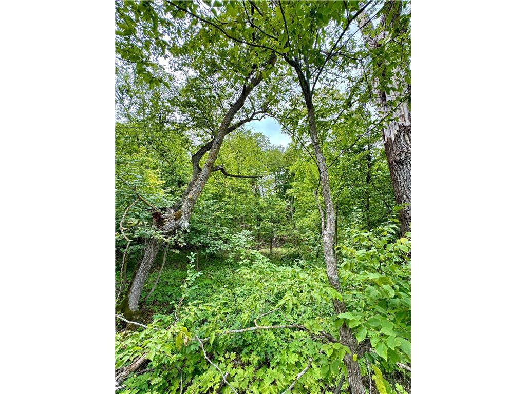 25213 Broadway Avenue Holmesville Twp MN 56501 - Rock 6775494 image10