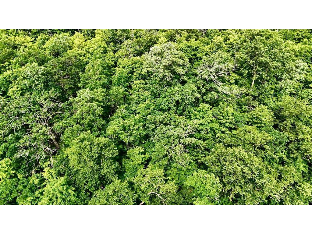 25213 Broadway Avenue Holmesville Twp MN 56501 - Rock 6775494 image14