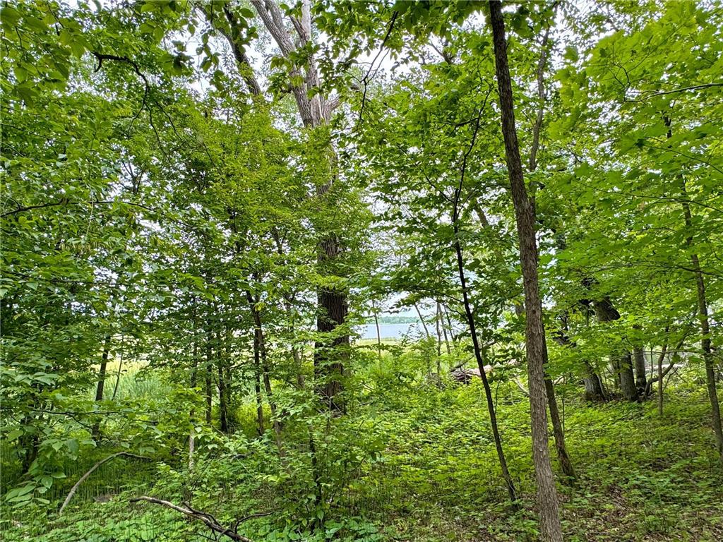 25213 Broadway Avenue Holmesville Twp MN 56501 - Rock 6775494 image8