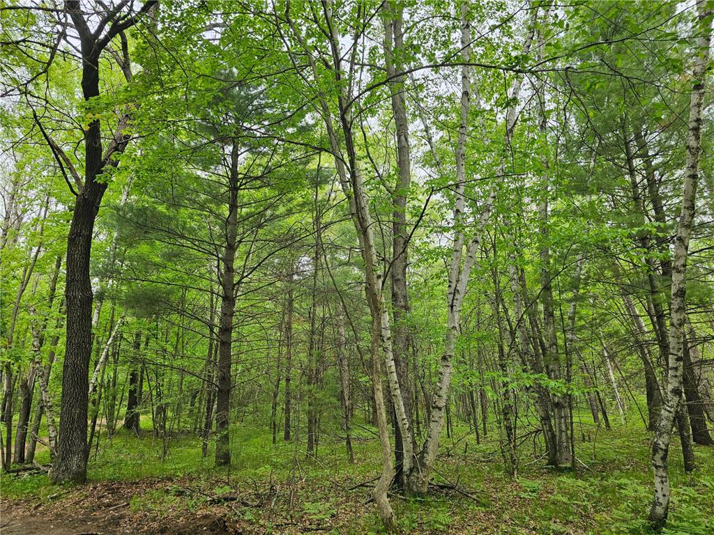 25227 Kruger Road Meenon Twp WI 54893 7080869 image1