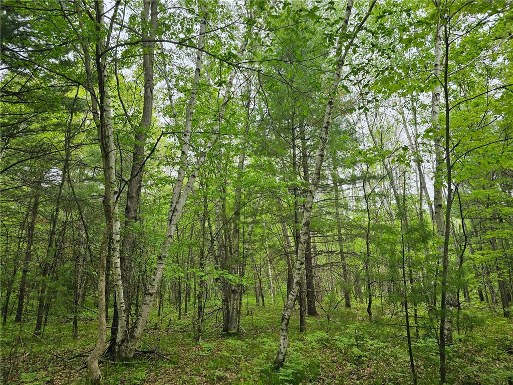 25227 Kruger Road Meenon Twp WI 54893 7080869 image10