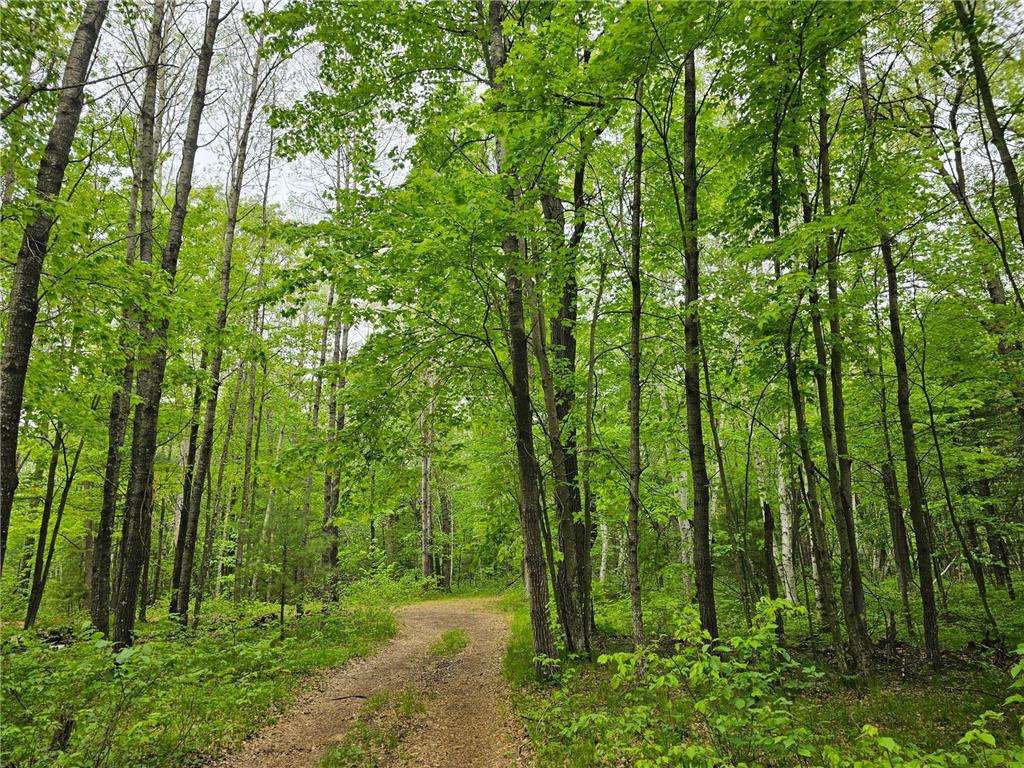 25227 Kruger Road Meenon Twp WI 54893 7080869 image3