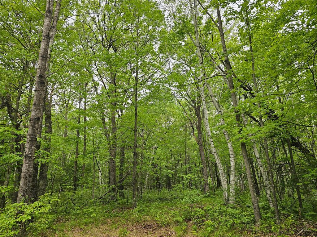 25227 Kruger Road Meenon Twp WI 54893 7080869 image6
