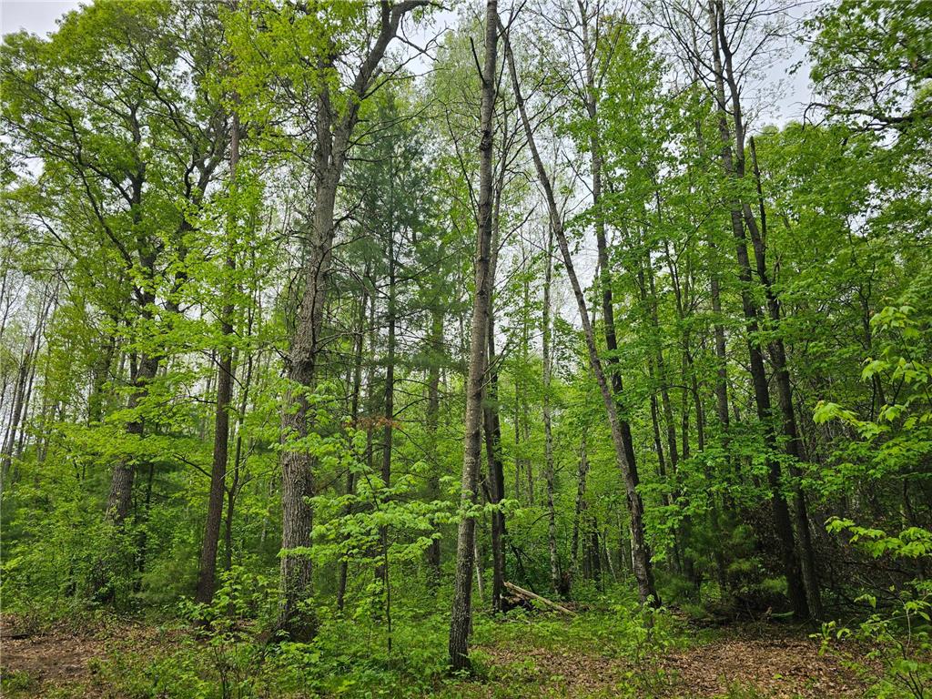 25227 Kruger Road Meenon Twp WI 54893 7080869 image7