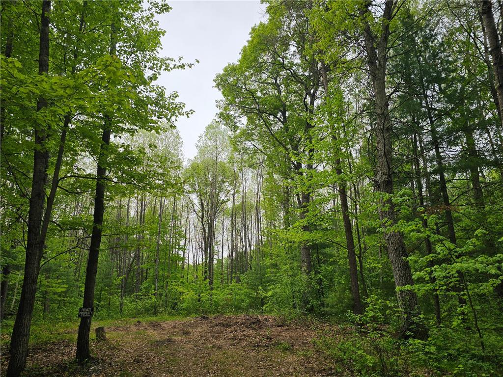 25227 Kruger Road Meenon Twp WI 54893 7080869 image8