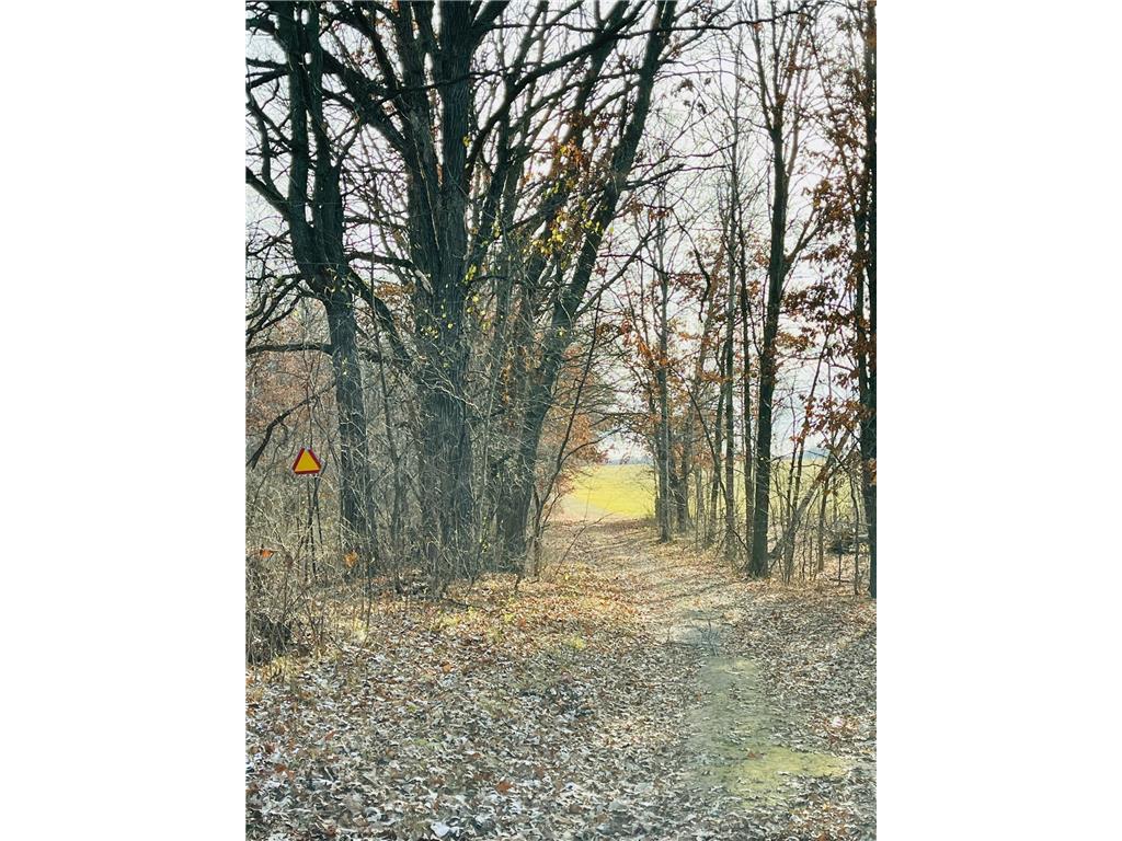 25246 33rd Avenue Saint Cloud MN 56301 6619576 image20