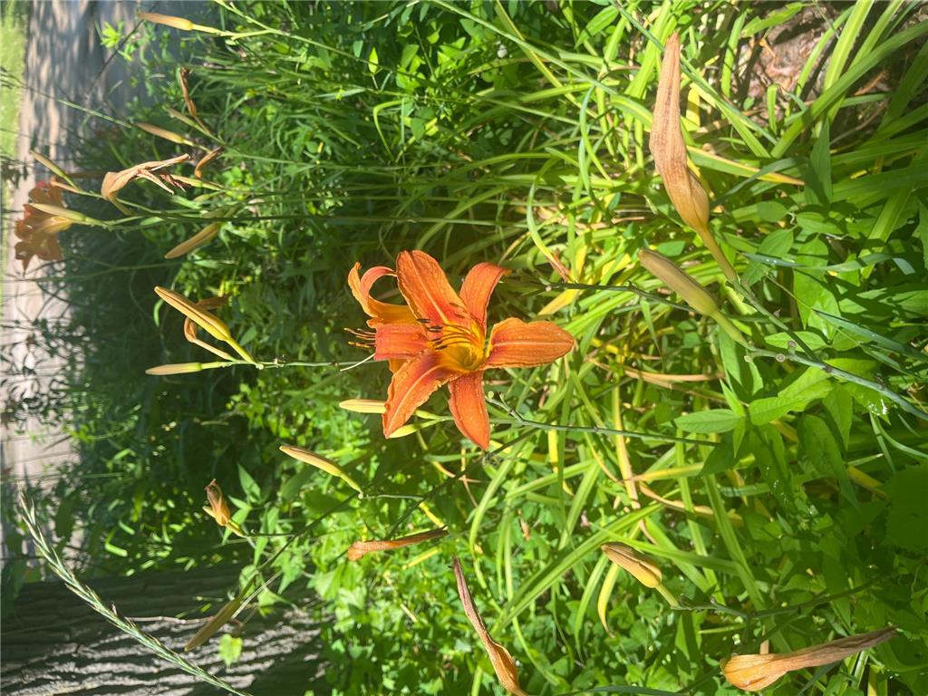 25246 33rd Avenue Saint Cloud MN 56301 6619576 image40