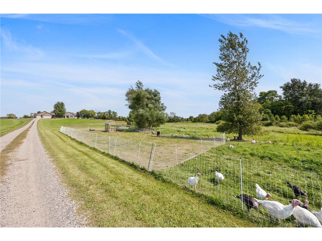 25250 Tucker Road Rogers MN 55374 7064938 image34